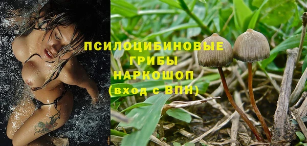 ALPHA-PVP Армянск